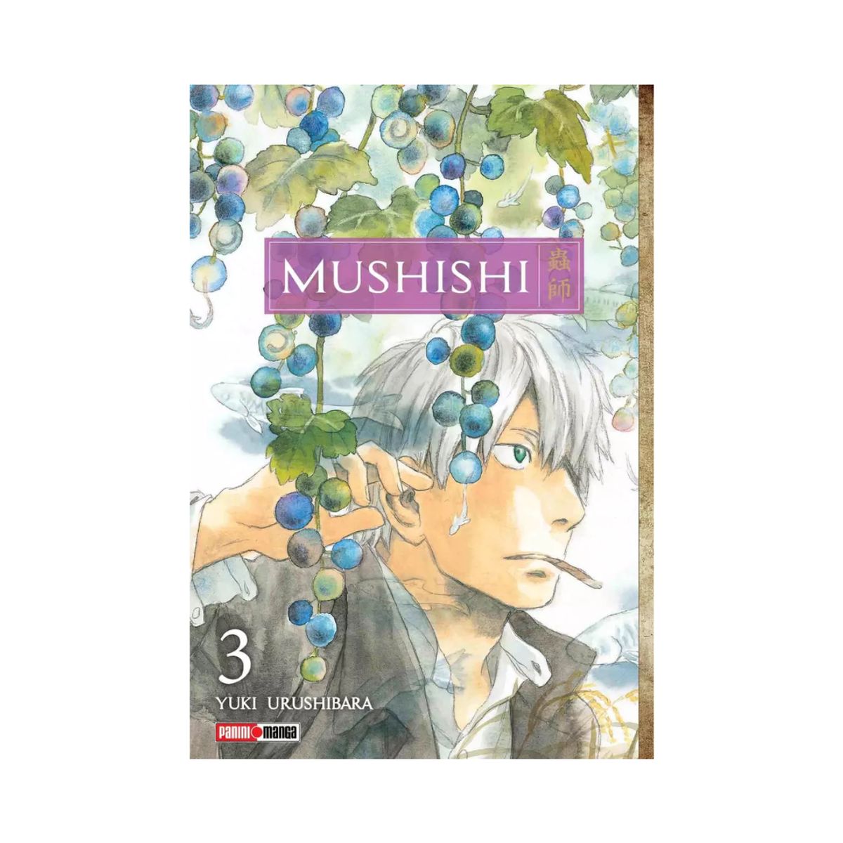 PANINI CHILE - Mushishi N°3
