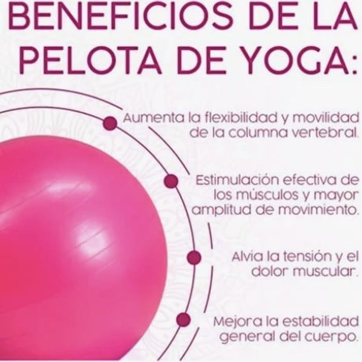GENERICO - Pelota Pilates Ejercicio