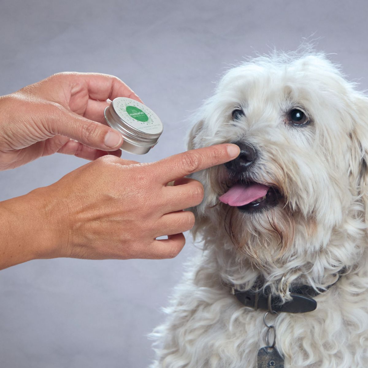 GENERICO - POMADA  PATITAS Y NARIZ PIWKEWUN PARA PERRO Y GATO 25gr APROX