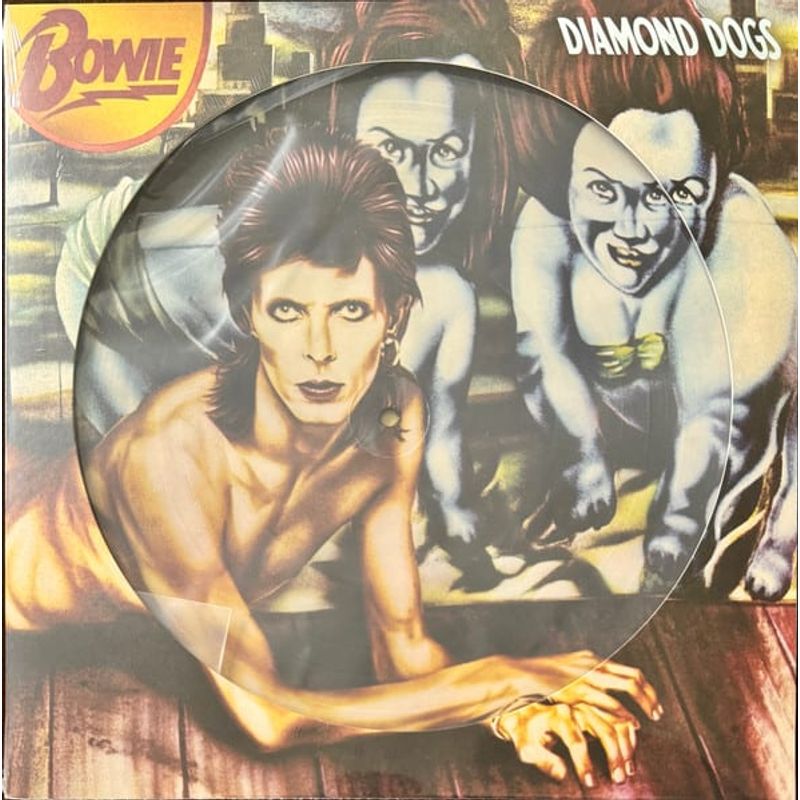 GRUPO LASER DISC - Vinilo david bowie diamond dogs picture disc 1lp