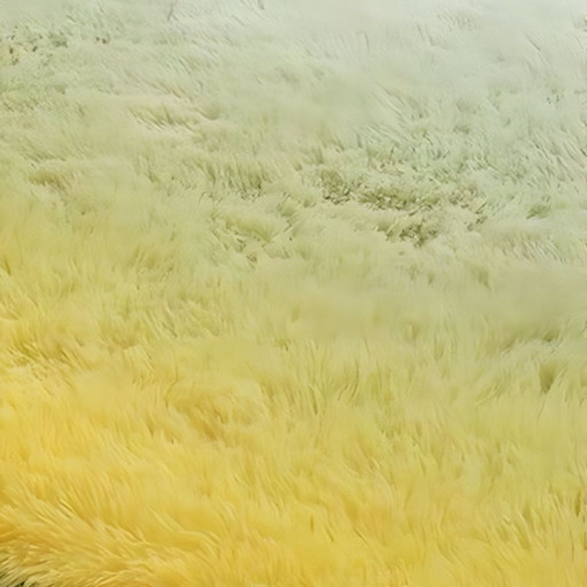 GENERICO - Alfombra Living y Dormitorio Suave 180 x 200 cm Primera Calidad Verde Jaspeado