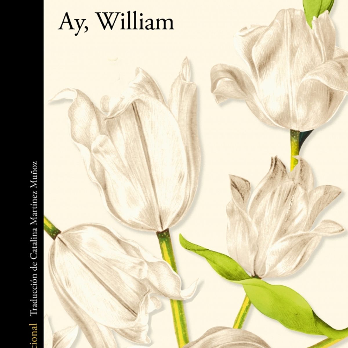 ALFAGUARA - Libro Ay, William - Elizabeth Strout