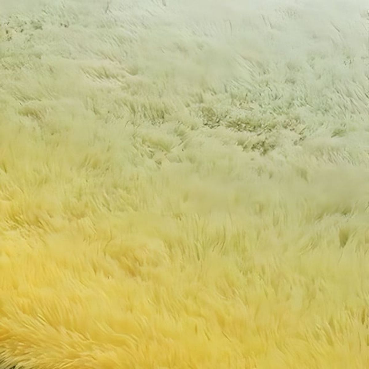 GENERICO - Alfombra peluda Suave 200 x 300 cm Primera Calidad Verde Jaspeado