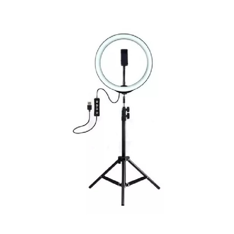 GENERICO - Luz cálida de luz LED aro de luz 30cm estructura negra 220V