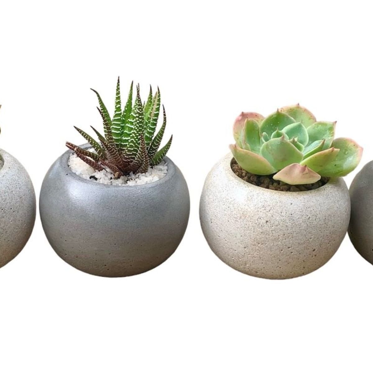 Pack 4 Maceteros Cemento Esfera para Suculentas Cactus, marca GENERICO - Foto 2