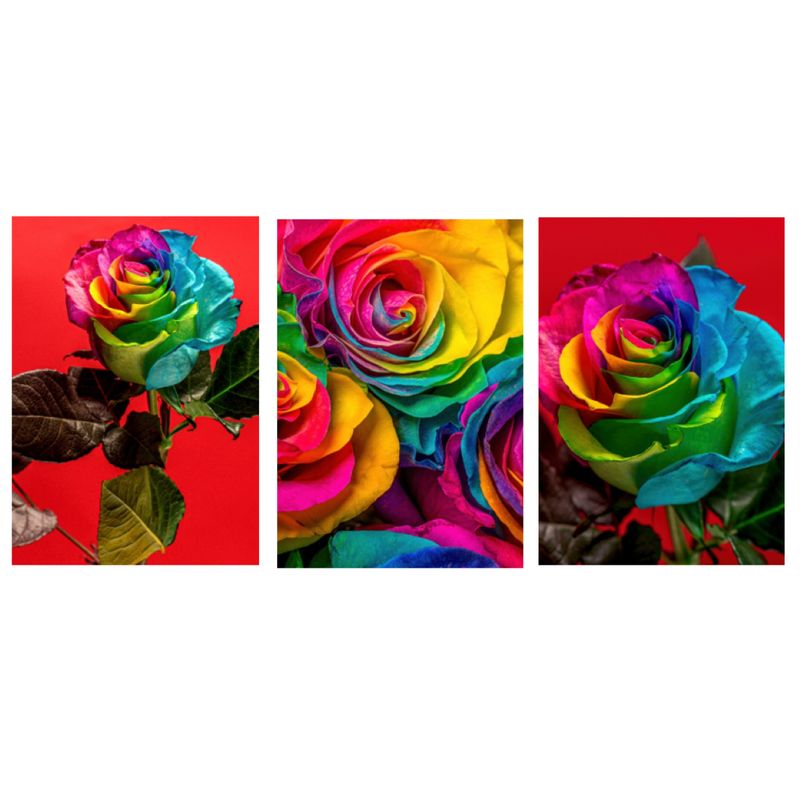 LOS REGALONES - Cuadro Canvas Imagen Rosa Colorida en lienzo Pack X3 Uds 30x50cm Cu