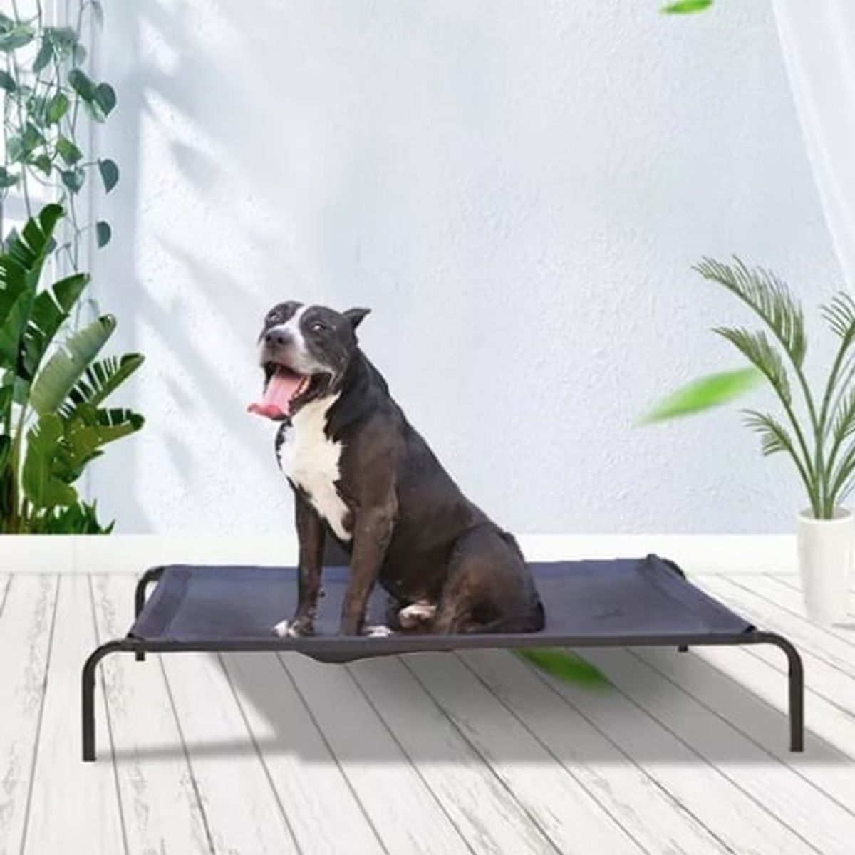 GENERICO - Cama Elevada Altura Para Mascota