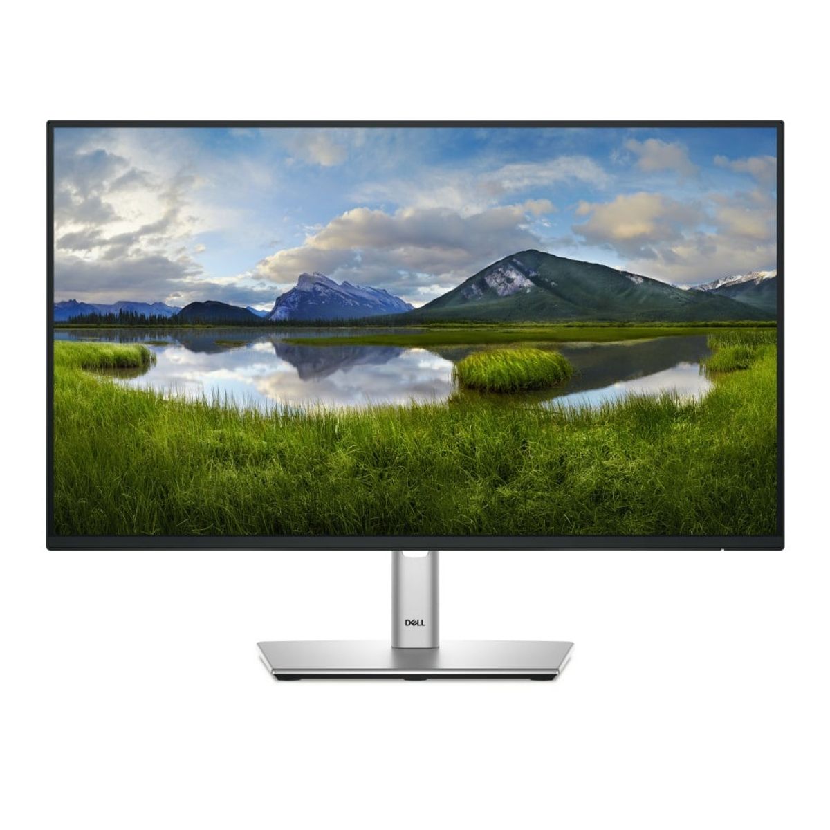 DELL - Monitor Dell P2425H 23.8" FullHD D-Port,HDMI,USB Plano 100Hz