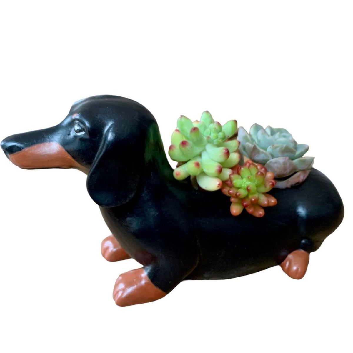 GENERICO - Macetero Cemento Perro Salchicha con Suculentas