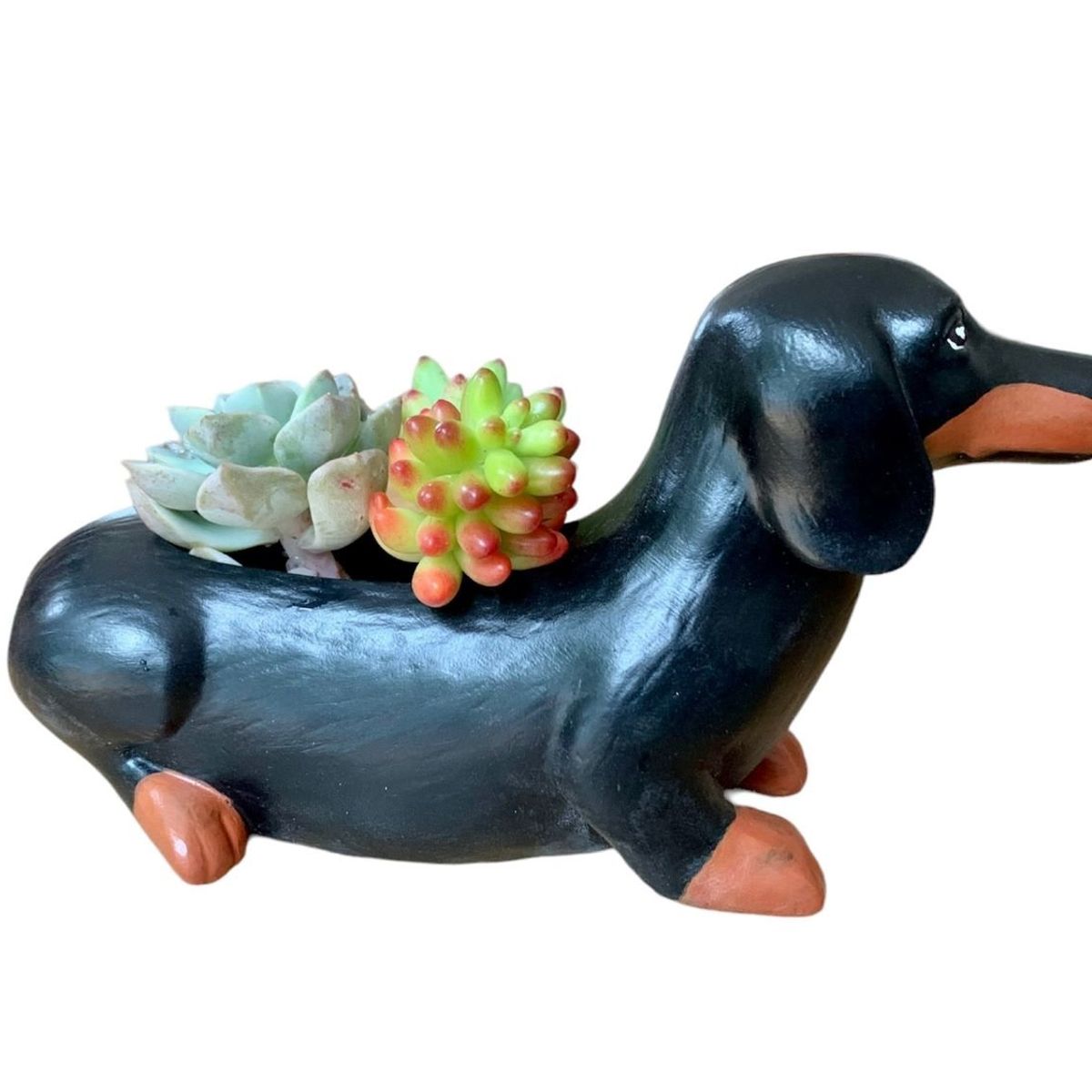 GENERICO - Macetero Cemento Perro Salchicha con Suculentas