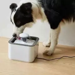 GENERICO - Fuente De Agua Para Gatos Y Perros De 2l