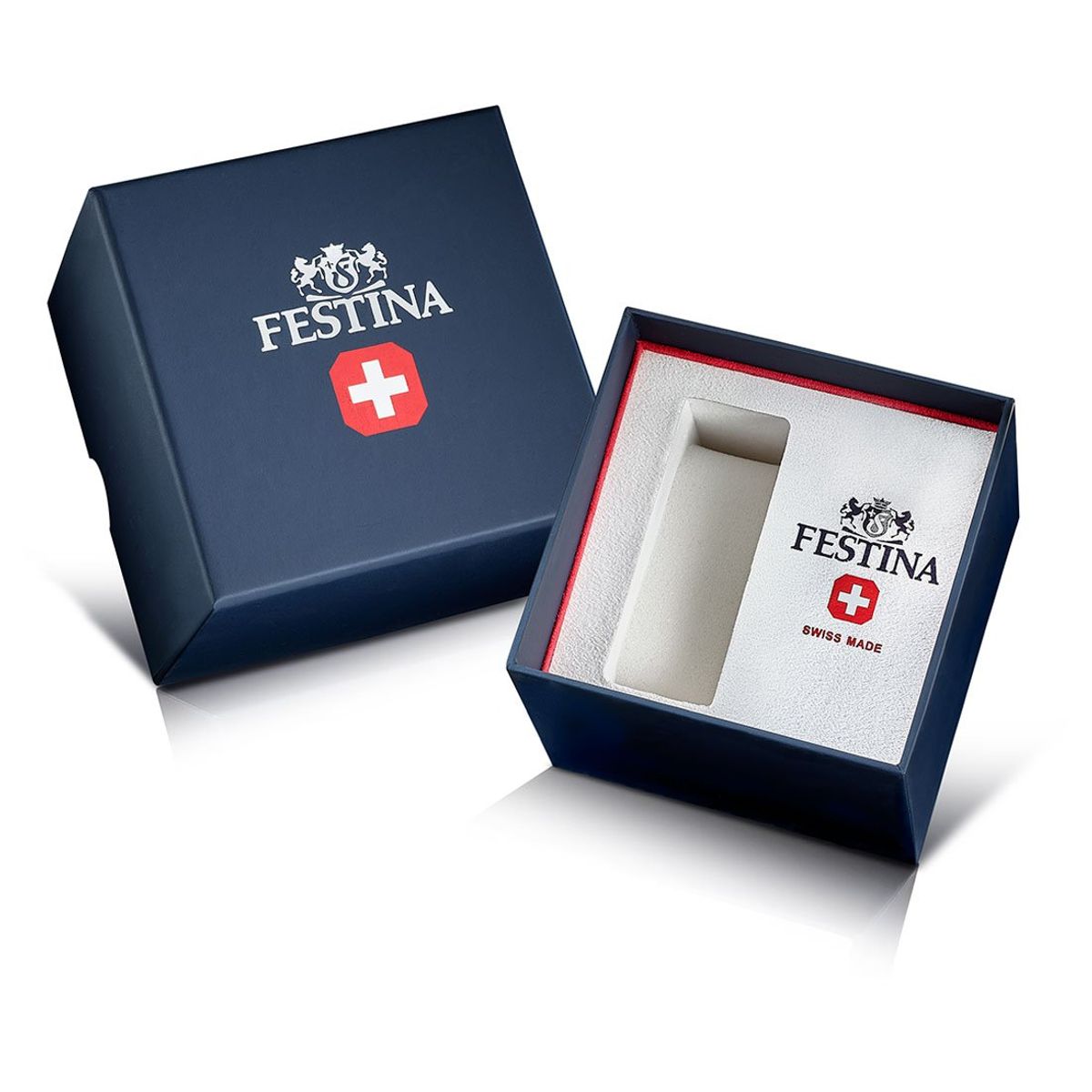 FESTINA SWISS - Reloj F20060/1 Festina Swiss Plata Hombre Rive Collection