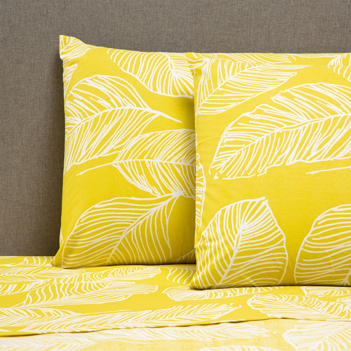 ZAHR - Sábana Zarina 2 Plazas