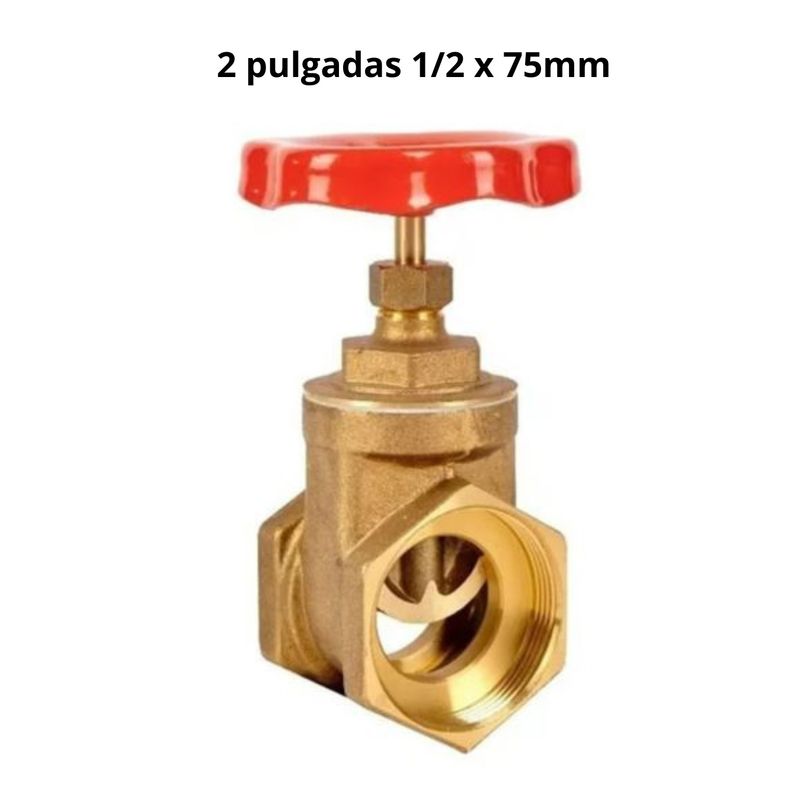 GENERICO - VALVULA COMPUERTA DOS PULGADAS IMEDIA