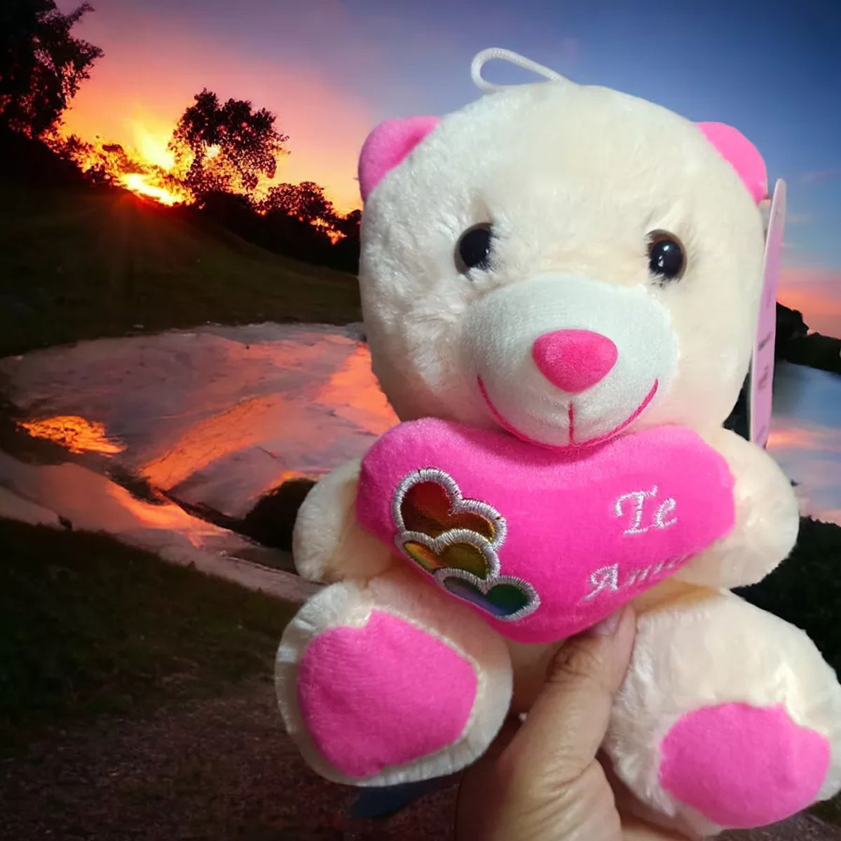 GENERICO - Osito De Peluche Enamorado Con Corazón Te Amo. Oso 21 Cm.