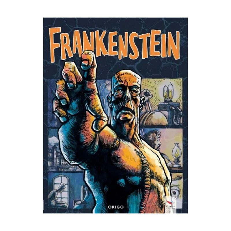 TOP10BOOKS - LIBRO FRANKESTEIN / FRANKESTEIN / VÍCTOR FRANKENSTEIN, UN JOVEN Y BRILLANTE CIE