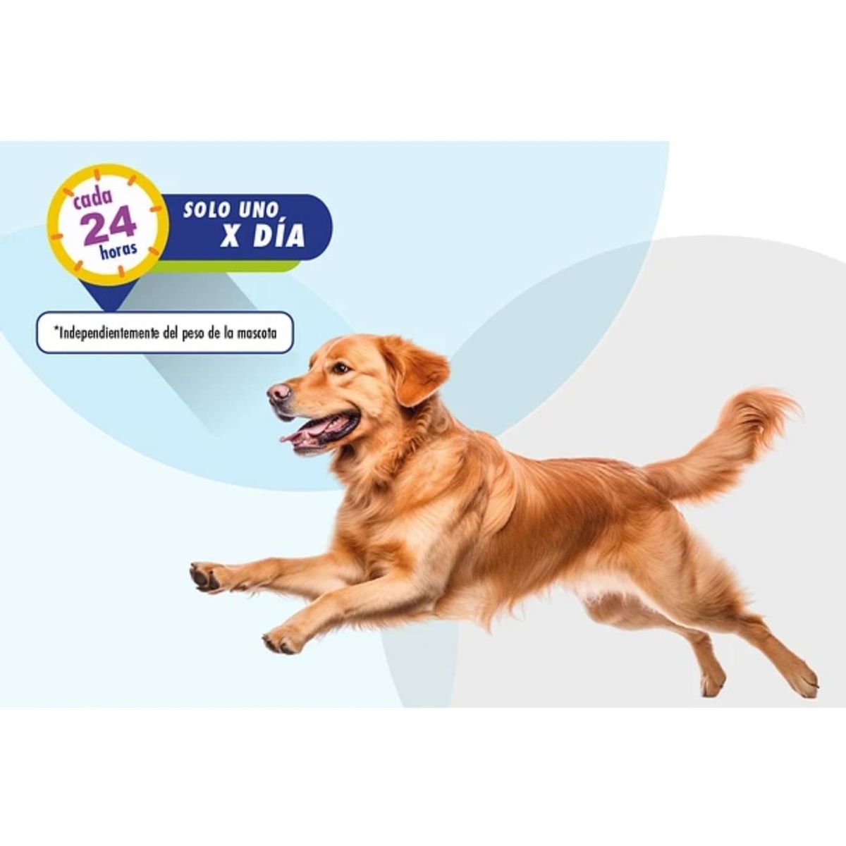 GENERICO - Flexadin Advanded 60 unidades