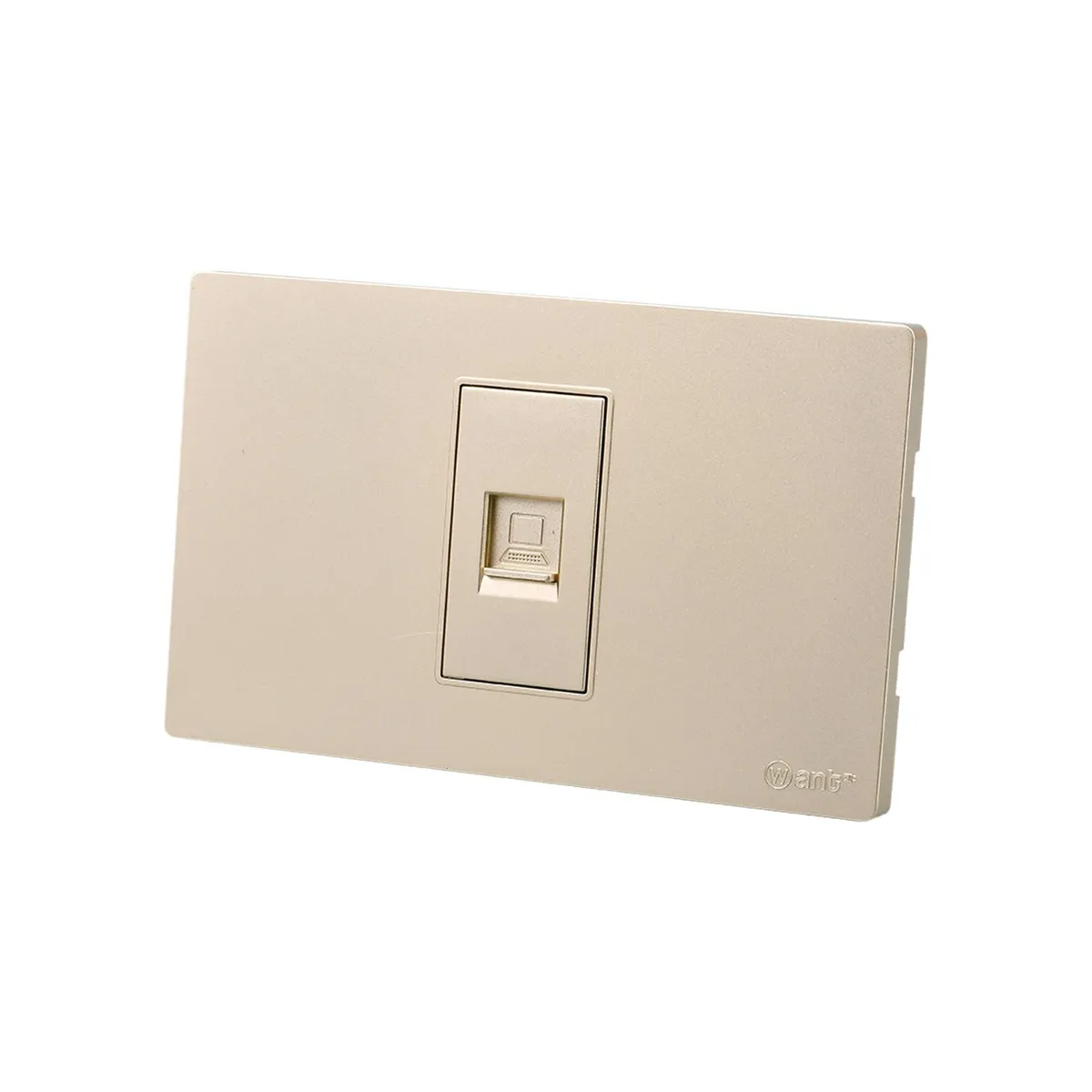 WANT - Pack 10 Toma Internet Metálico RJ65 - Dorado