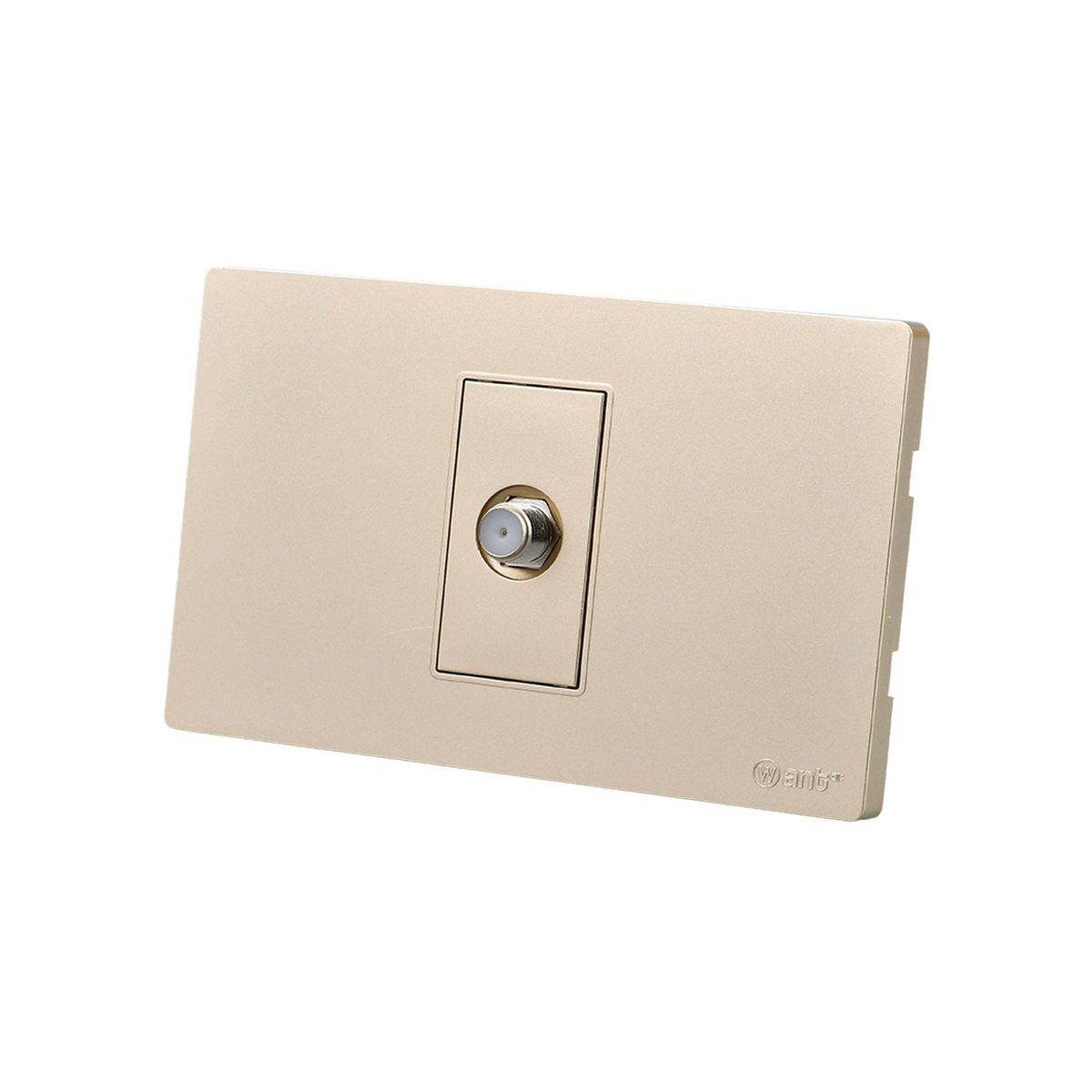 WANT - Pack 10 Toma TV Metálico - Dorado