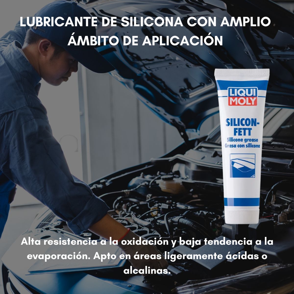 LIQUI MOLY - Grasa Silicona Lubricante Liqui Moly Silicon-fett 100gr