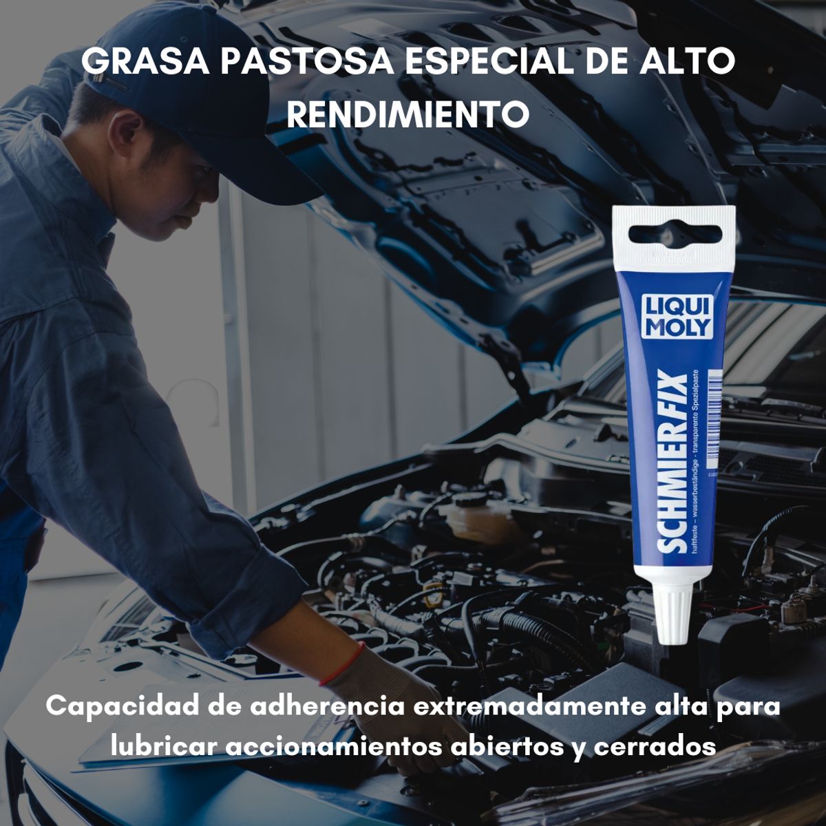 LIQUI MOLY - Grasa lubricante especial Liqui Moly Schmierfix 50g