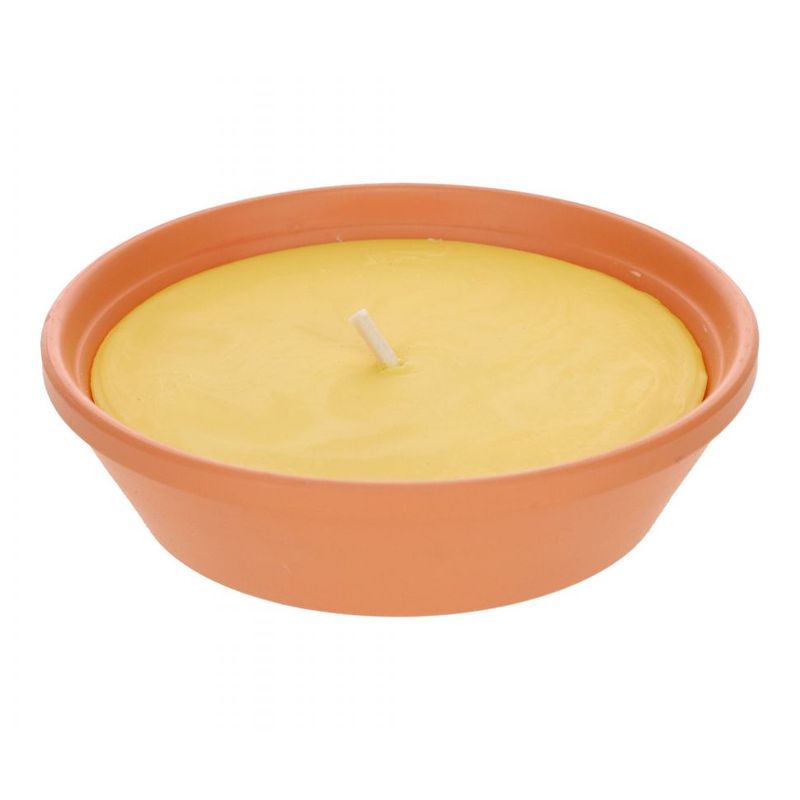 GENERICO - Vela grande citronella AMARILLA repelente insectos en bowl de cerámico