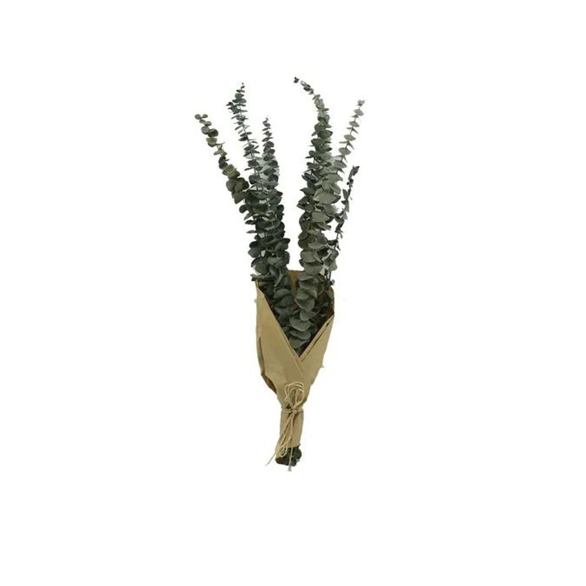 GENERICO - Ramo Flores Eucaliptus Natural