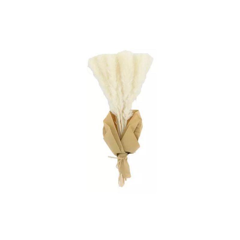 GENERICO - Ramo Flores Pampas Blanca Natural
