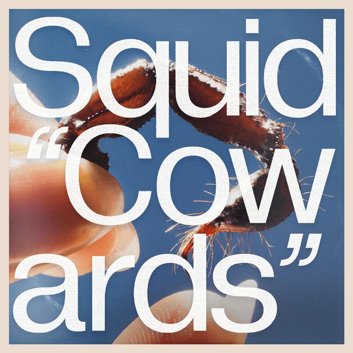 GENERICO - Squid - Cowards - Vinilo