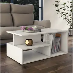 GENERICO - Mesa de Centro Minimalista con Espacios de Almacenamiento