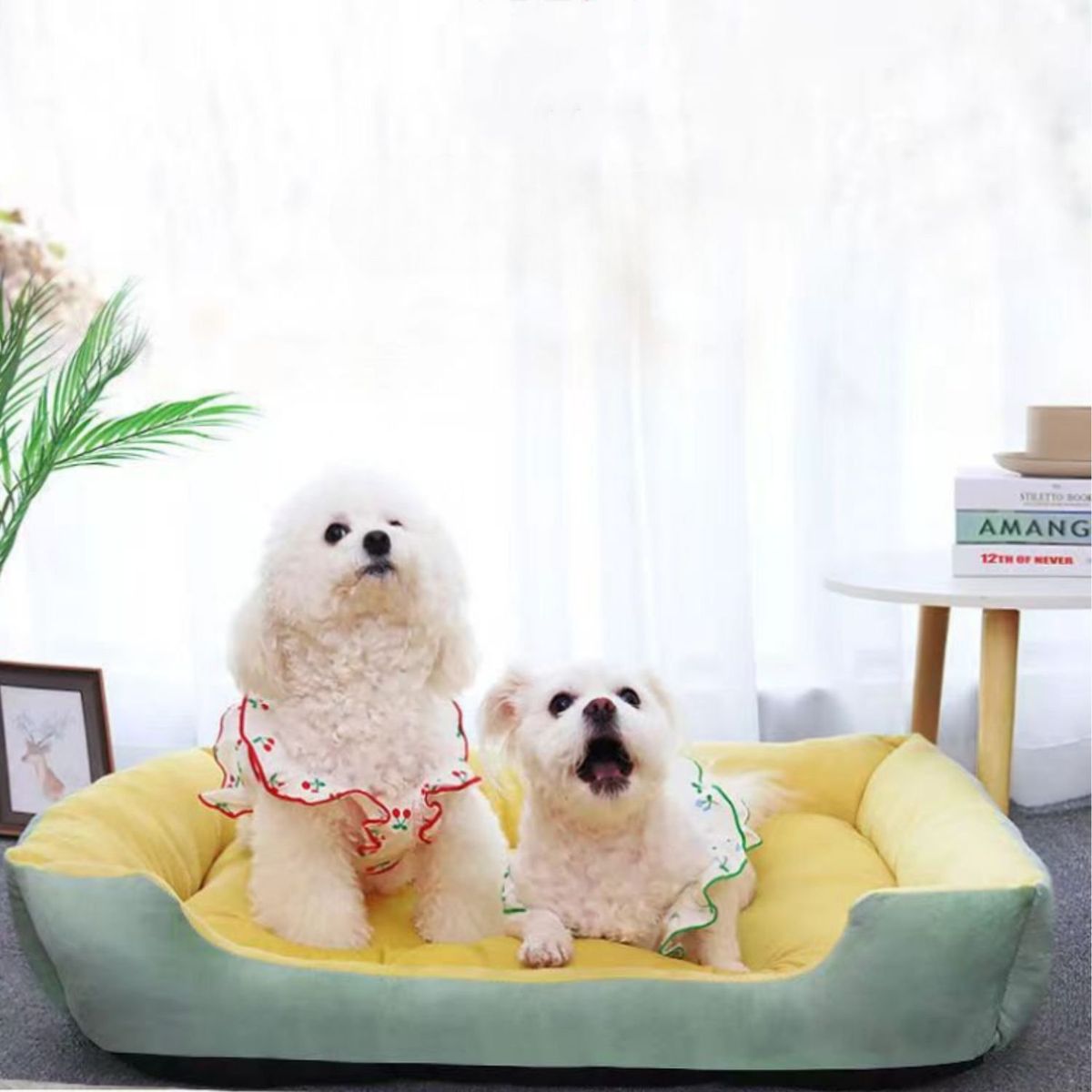 BABYLUNA - Cama Para Mascotas XL Con Juguete  Máxima Comodidad Amarilla