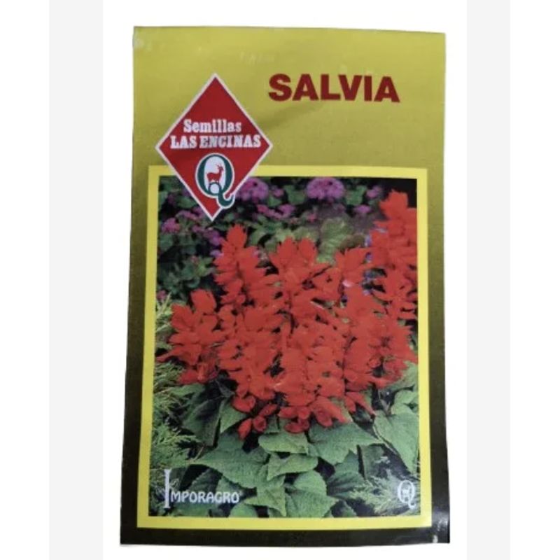 LAS ENCINA - Semillas Certificadas Flor Salvia Roja Danshen Huerto