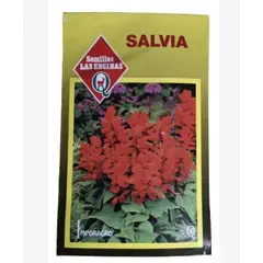 LAS ENCINA - Semillas Certificadas Flor Salvia Roja Danshen Huerto