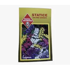 LAS ENCINA - Semillas Certificadas Flor Statice Sinuata Doble Huerto