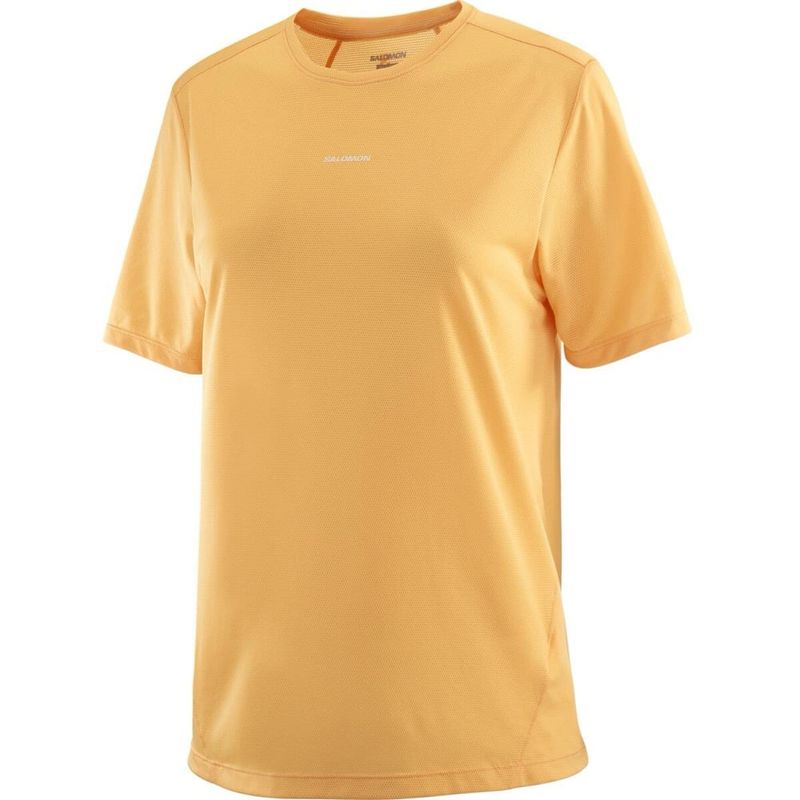 SALOMON - Polera Mujer Shkout Core Ss Tee W Mu Salomon