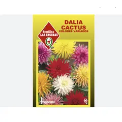 LAS ENCINA - Semillas Certificadas Flor Dalia Cactus Alta Huerto