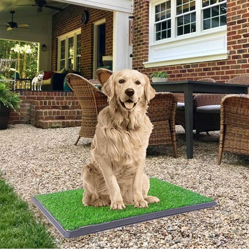 MOVI - Sanitario para Mascotas XL