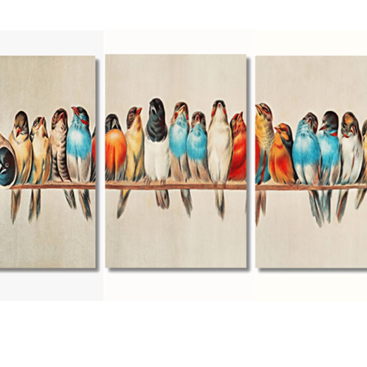 LOS REGALONES - Cuadros Canvas conjunto de 3 piezas pájaros vintage lienzo 30x50cm Cu