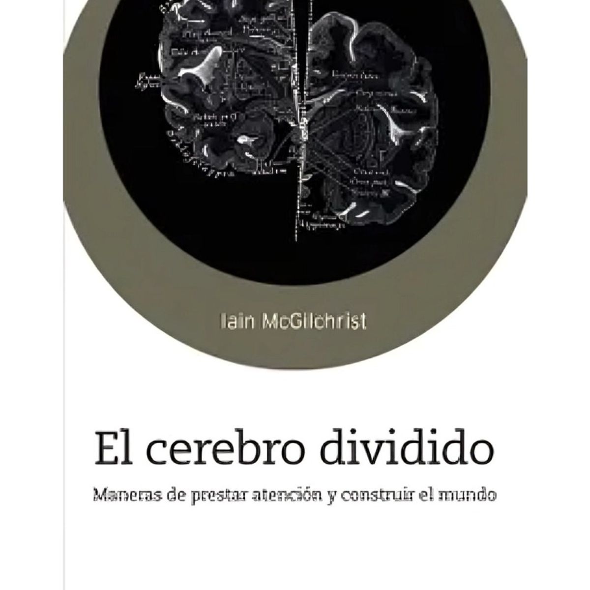 TOP10BOOKS - LIBRO El Cerebro Dividivo - El Cerebro Dividivo