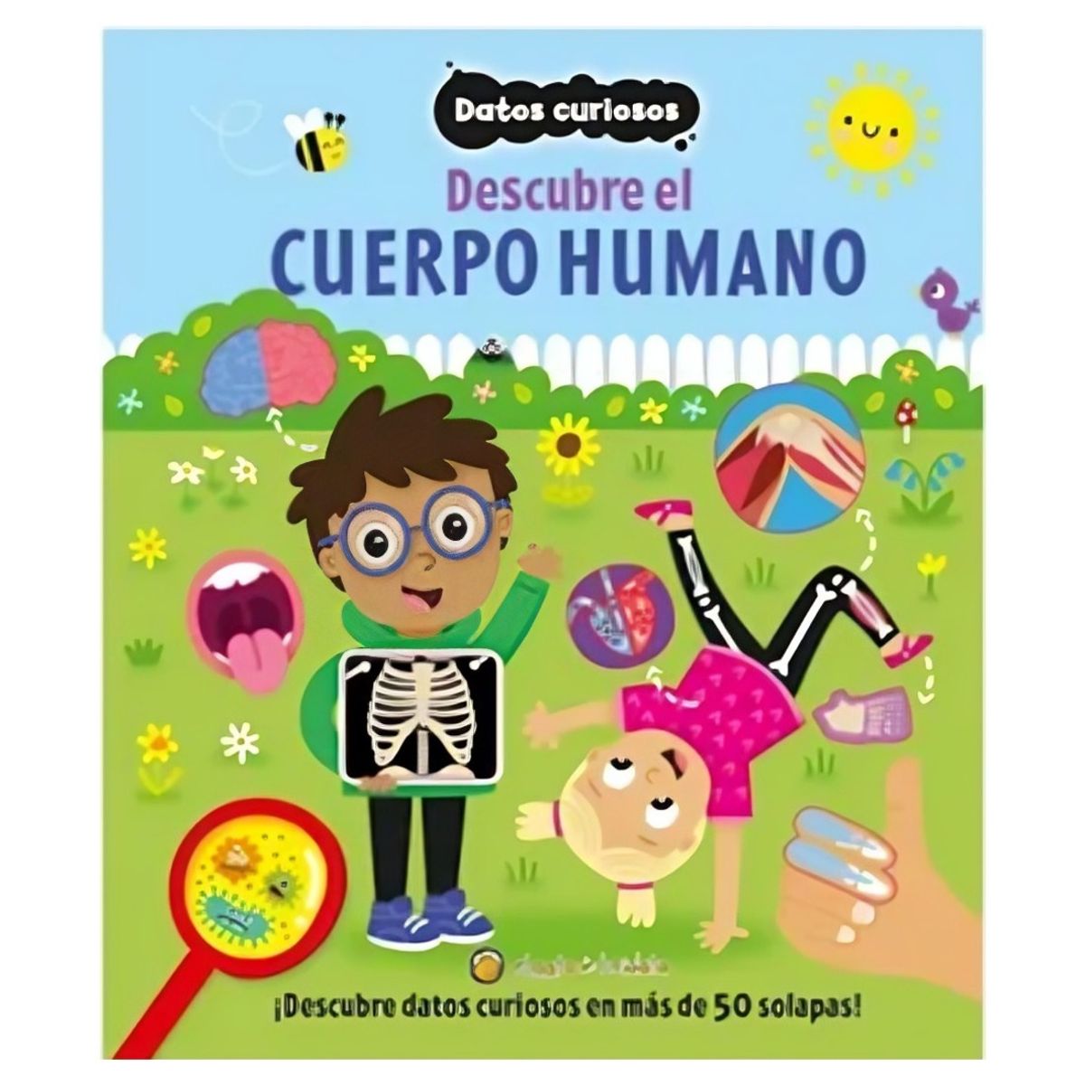 TOP10BOOKS - LIBRO Descubre El Cuerpo Humano - Descubre El Cuerpo Humano