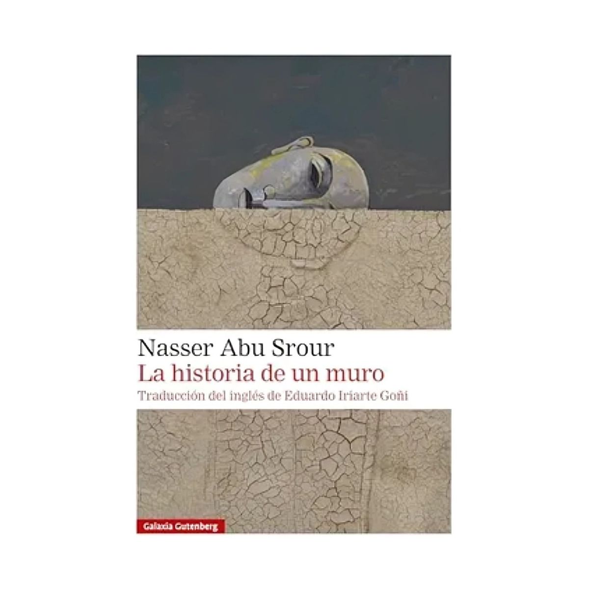 TOP10BOOKS - LIBRO La Historia De Un Muro - La Historia De Un Muro