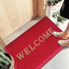 GENERICO - Alfombra Limpia Pies