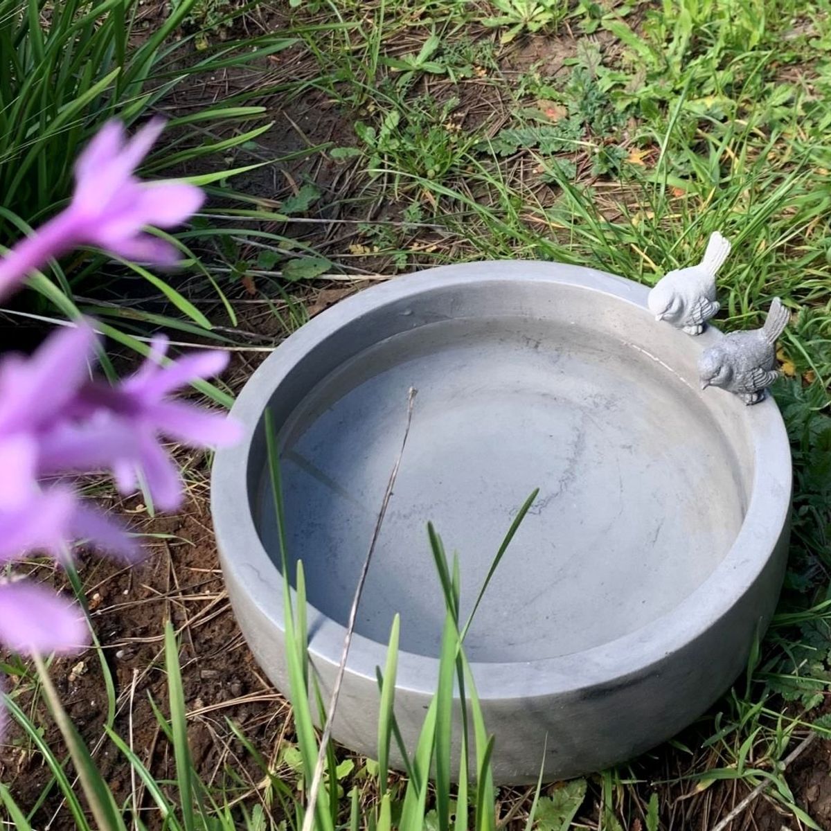 GENERICO - Fuente De Agua Bebedero Pájaros Cemento 30x10 Cm