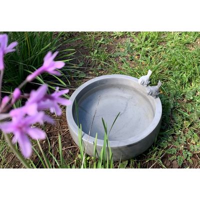 Imagen 2 del producto Fuente De Agua Bebedero Pájaros Cemento 30x10 Cm