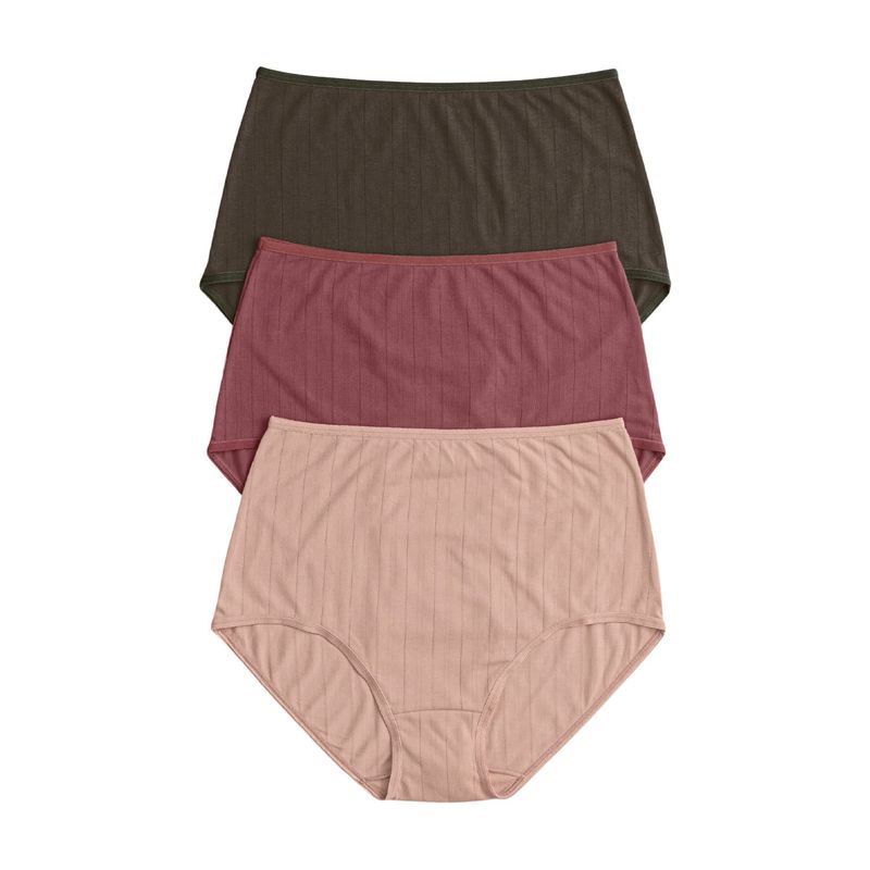 LEONISA - Pack x 3 calzones clásicos con Excelente Cubrimiento 1238X3 Surtido.-