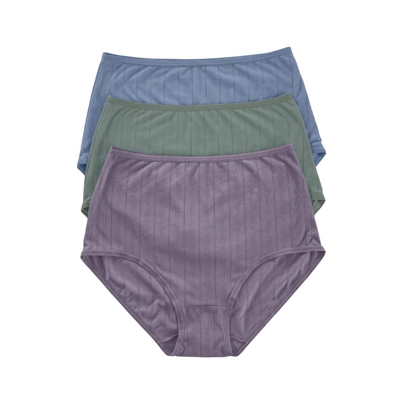 LEONISA - Pack x 3 calzones clásicos con Excelente Cubrimiento 1238X3 Surtido