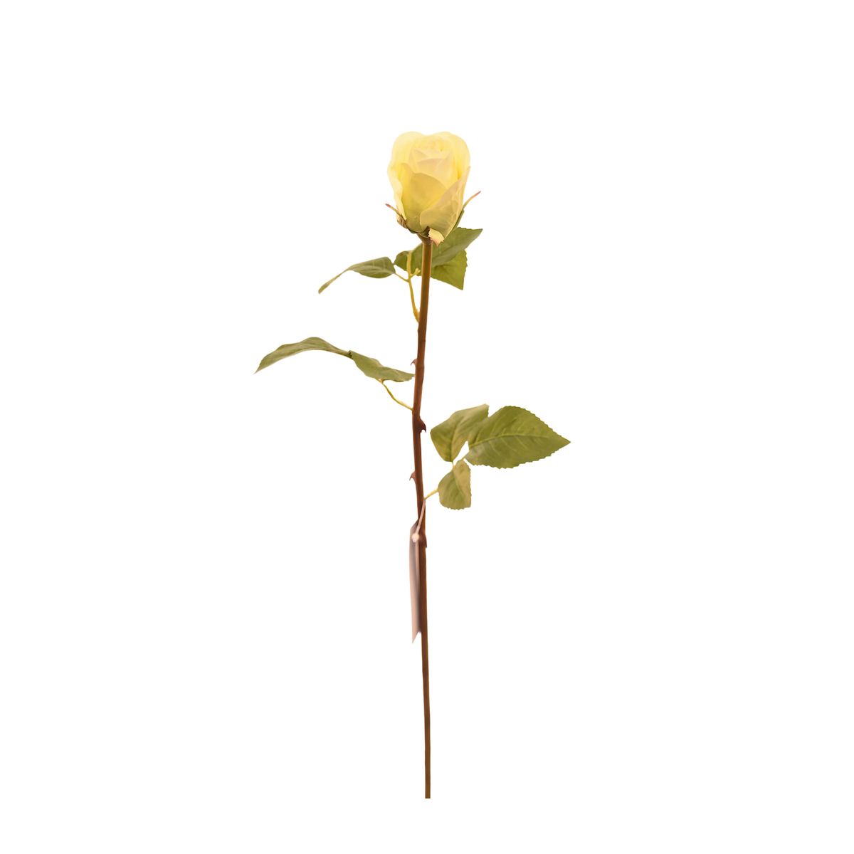 VADELL - Botón de flor de rosa artificial color crema de 51 cm