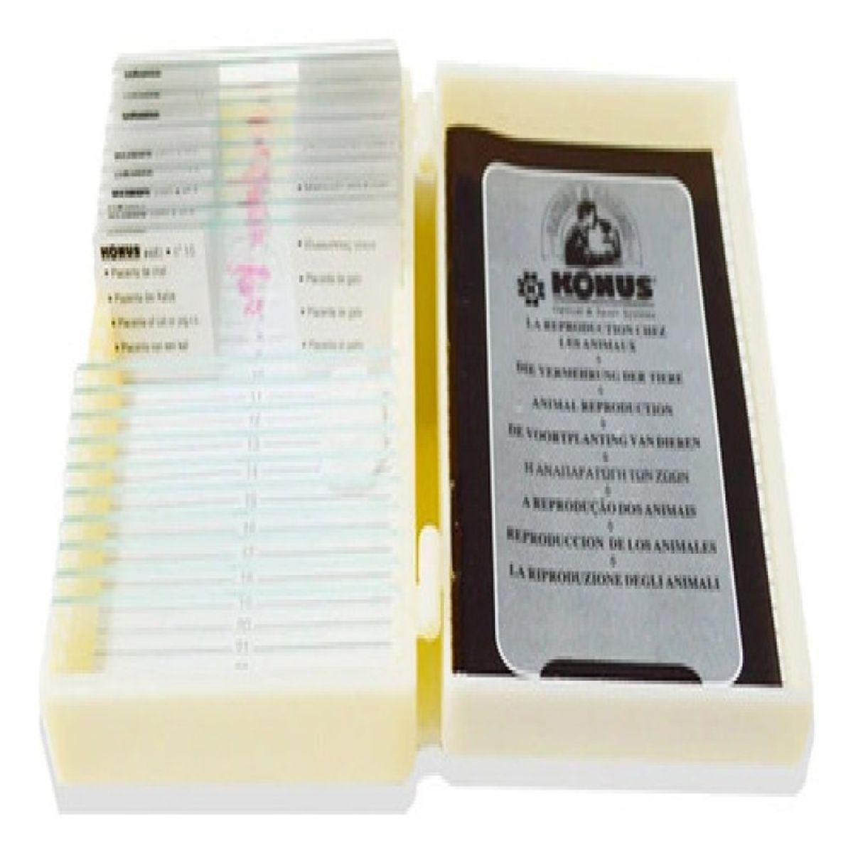 KONUS - Muestras Microscopio Órganos Del Cuerpo Humano 25 Slides