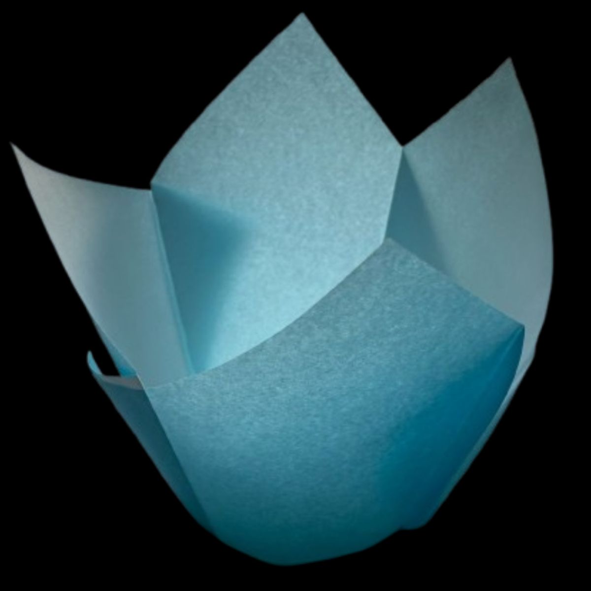 GENERICO - Tulipa Para Muffin Celeste 50 un