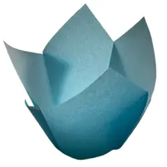 GENERICO - Tulipa Para Muffin Celeste 50 un